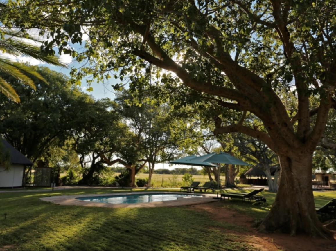 La Rochelle Lodge Namibia Tsumeb Exteriér fotografie